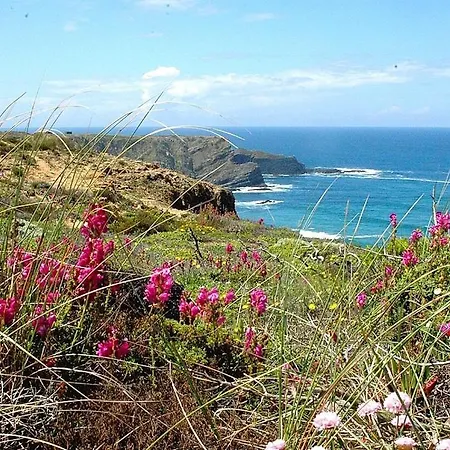 Yolo - Ocean And Nature Shelter